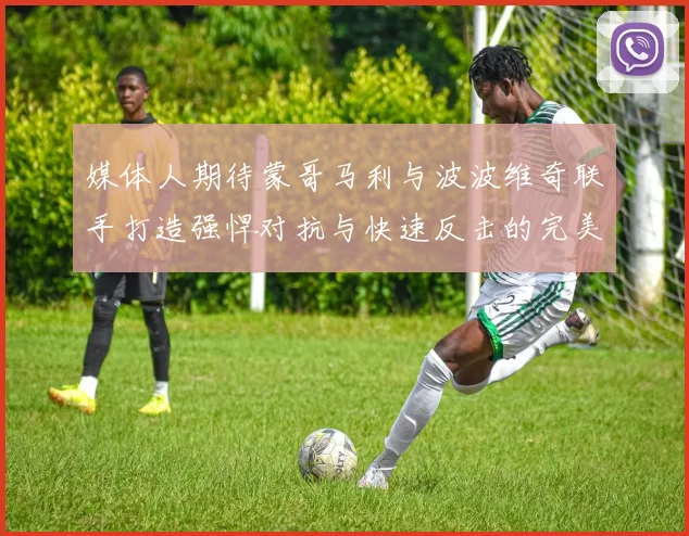 媒体人期待蒙哥马利与波波维奇联手打造强悍对抗与快速反击的完美结合